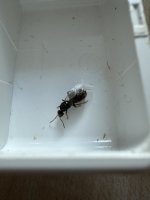 IMG_3256.jpeg