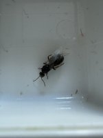 IMG_3255.jpeg