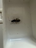IMG_3254.jpeg