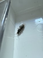 IMG_3259.jpeg
