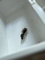 IMG_3258.jpeg