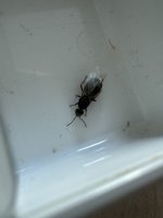IMG_3257.jpeg