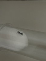 IMG_2666.jpeg