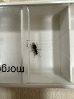 IMG_3261.jpeg