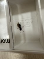 IMG_3262.jpeg