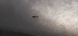IMG_20250628_195651.jpg