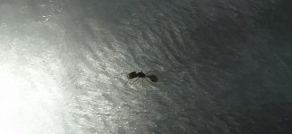 IMG_20250628_195528.jpg