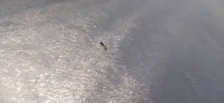 IMG_20250628_195631.jpg
