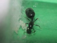 IMG_4869.jpeg