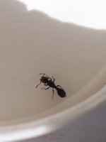 IMG_4871.jpeg