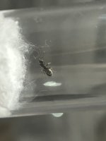 IMG_2675.jpeg