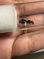 IMG_1981.jpeg