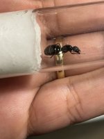 IMG_1982.jpeg