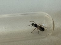 IMG_0731.jpeg