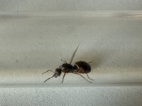 IMG_0726.jpeg