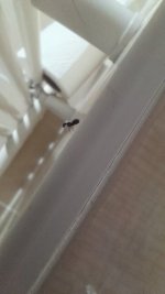 20250703_233241.jpg
