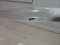IMG20250704015641.jpg