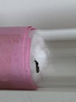 IMG_2679.jpeg