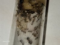 20250704_175216.jpg