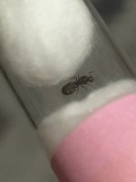 IMG_2686.jpeg