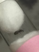IMG_2683.jpeg