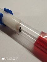 lasius niger.jpg