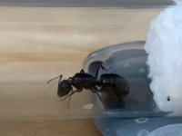 IMG_4350.jpeg