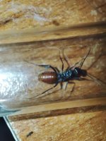 IMG_20250705_163243.jpg