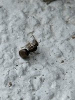 IMG_3294.jpeg