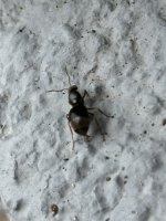 IMG_3298.jpeg