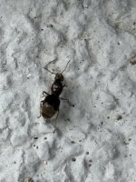 IMG_3297.jpeg