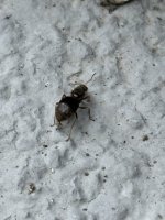 IMG_3296.jpeg