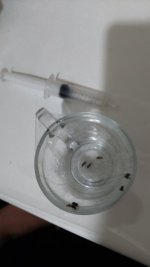 IMG-20250705-WA0002.jpeg