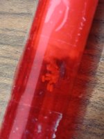 lasius1.jpg