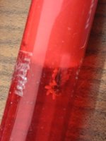 lasius2.jpg
