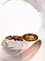 IMG_6181.jpeg