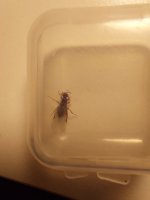 20250706_000503.jpg