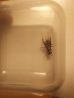 20250706_000442.jpg