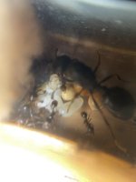 IMG_0458.jpeg