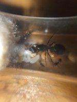 IMG_0459.jpeg