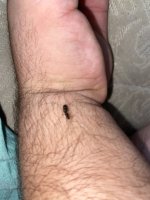 IMG_5436.jpeg