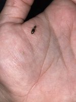 IMG_5435.jpeg