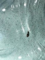IMG_5437.jpeg