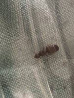 IMG_5438.jpeg