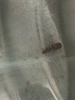IMG_5439.jpeg