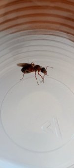 IMG_20250706_143006_209.jpg