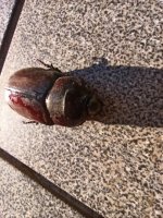 IMG_20250705_065610.jpg