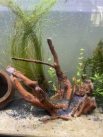 IMG_1260.jpeg IMG_1260.jpeg