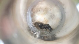 IMG_7347.jpeg