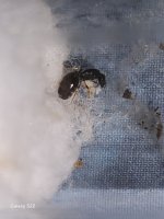 20250706_182608.jpg